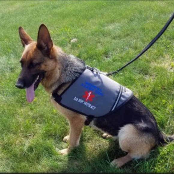 Working Dog Vest for Service Dog in Training - Picture 15 of 16